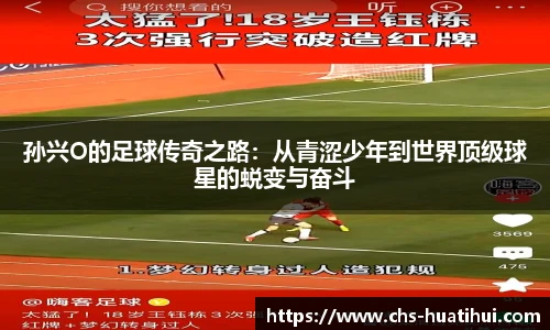 hth体育官网入口